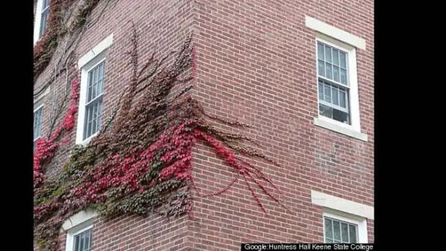 Foto: Huffingtonpost.com