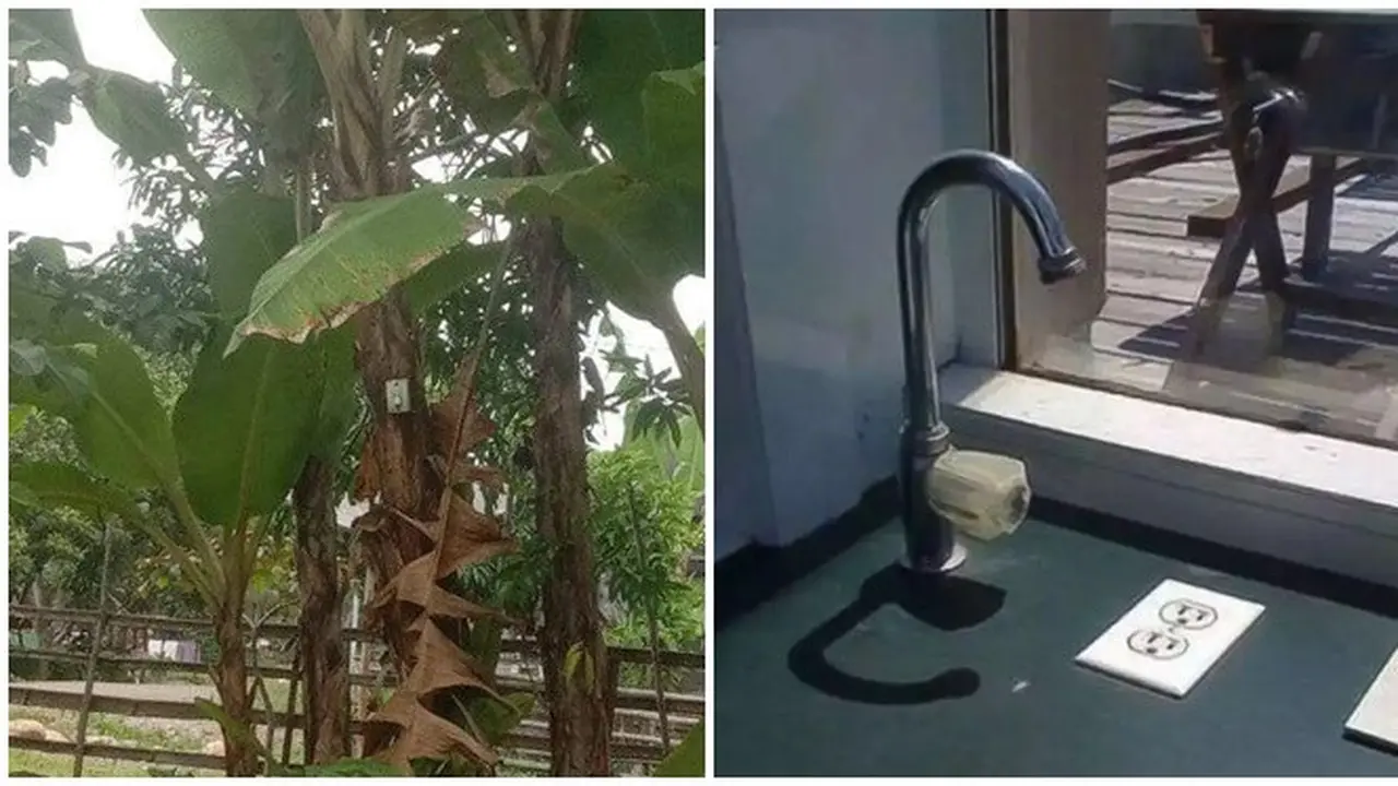 6 Potret Saklar dan Colokan Listrik di Tempat Tak Biasa Ini Bikin Tepuk Jidat