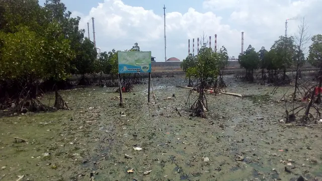Pencemaran Teluk Balikpapan