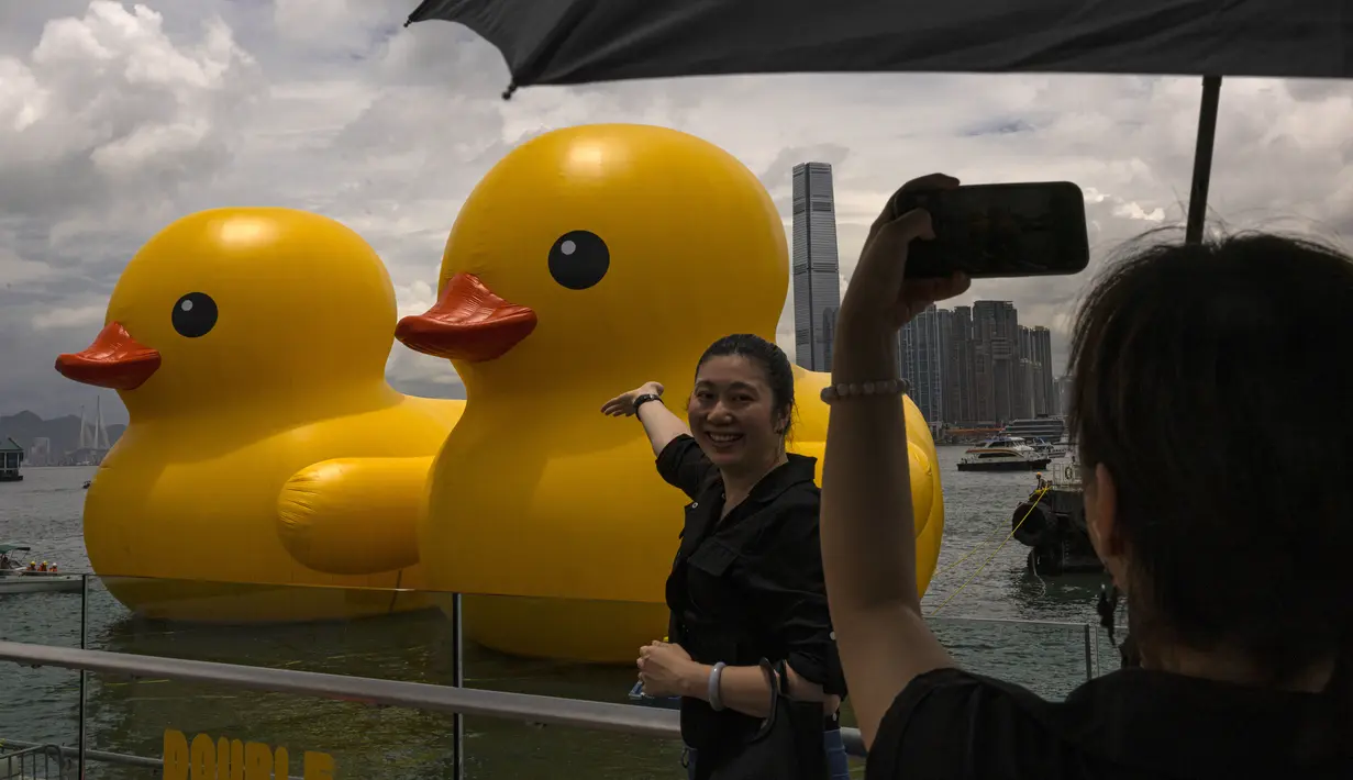 Bebek-bebek kuning tiup ini akan berlayar di pelabuhan selama dua minggu dan hadir satu dekade setelah patung "Bebek Karet" karya Hofman yang menarik perhatian banyak orang di pusat keuangan Asia ini pada tahun 2013.  (AP Photo/Louise Delmotte)
