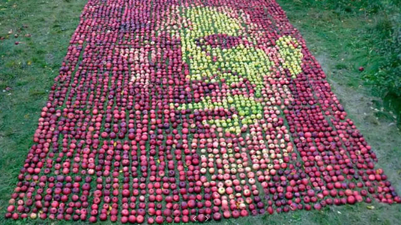 Artis Ini Ciptakan Siluet Steve Jobs dari Buah Apel