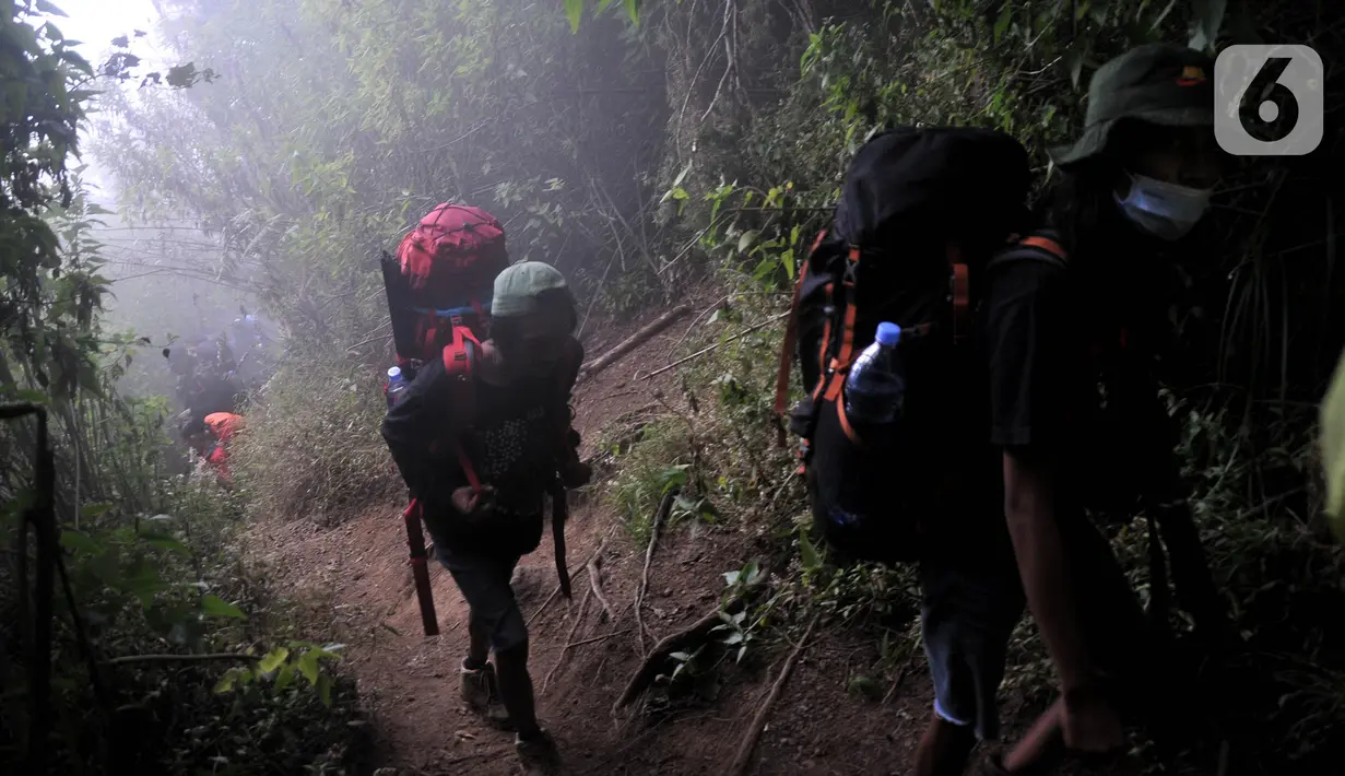 Wisatawan saat melakukan pendakian Gunung Sindoro via Jalur Alang-Alang Sewu, Kertek, Wonosobo, Jawa Tengah, Sabtu (11/9/2021). Gunung Sindoro yang memiliki ketinggian 3.153 mdpl merupakan salah satu gunung di Jawa Tengah yang favorit atau ramai didatangi pendaki. (merdeka.com/Iqbal S Nugroho)