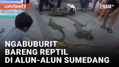 Puluhan Reptil Hibur Masyarakat yang Ngabuburit di Alun-alun Sumedang