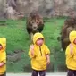 Seorang anak nyaris diterkam singa di Kebun Binatang Jepang