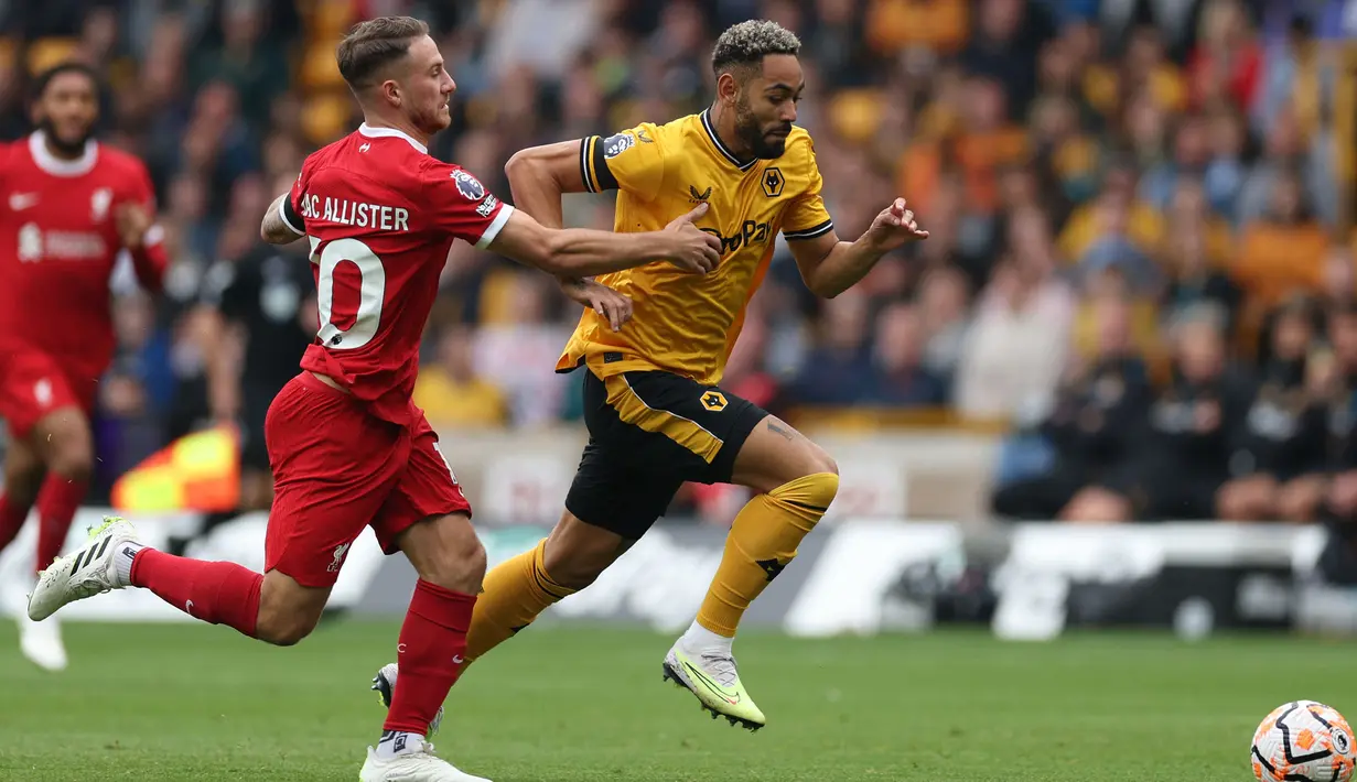 Gelandang Liverpool, Alexis Mac Allister (kiri) berusaha mengadang laju striker Wolverhampton Wanderers, Matheus Cunha pada laga pekan kelima Premier League 2023/2024 di Molineux Stadium, Wolverhampton, Sabtu (16/9/2023) malam WIB. (AFP/Adrian Dennis)