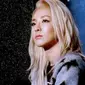 Sandara Park atau Dara 2NE1 kembali dilirik bermain dalam sebuah drama terbaru. Seperti apa ceritanya?