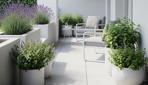Teras Rumah dengan Tanaman Aromatik Pengusir Serangga (Image by Gemini AI)