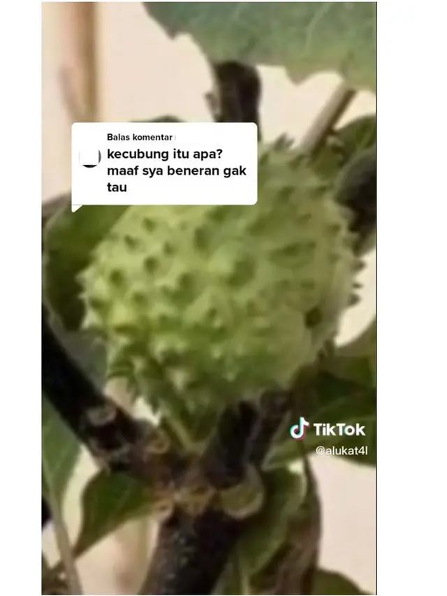 Efek Makan Kecubung, Pria Ini Berhalusinasi Badannya Dikerubungi Semut
