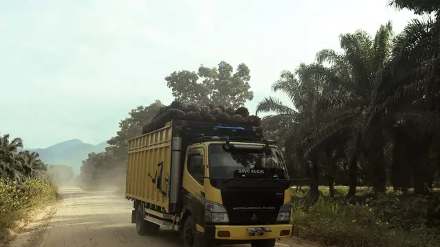 Truk mengangkut TBS sawit ke pabrik (PT Austindo Nusantara Jaya Tbk/ANJT)