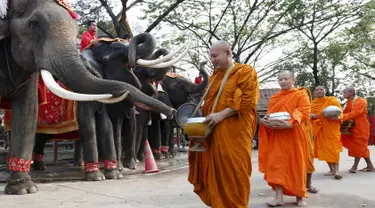 Sejumlah Biksu Buddha memberi pemberkatan kepada gajah saat perayaan Hari Gajah Nasional di kota bersejarah, Thailand, (3/11). Gajah merupakan ikon di negara Thailand. (REUTERS / Chaiwat Subprasom)