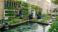6 Ide Kebun Sayur di Halaman Masjid untuk Kebutuhan Jamaah yang Produktif dan Berkelanjutan