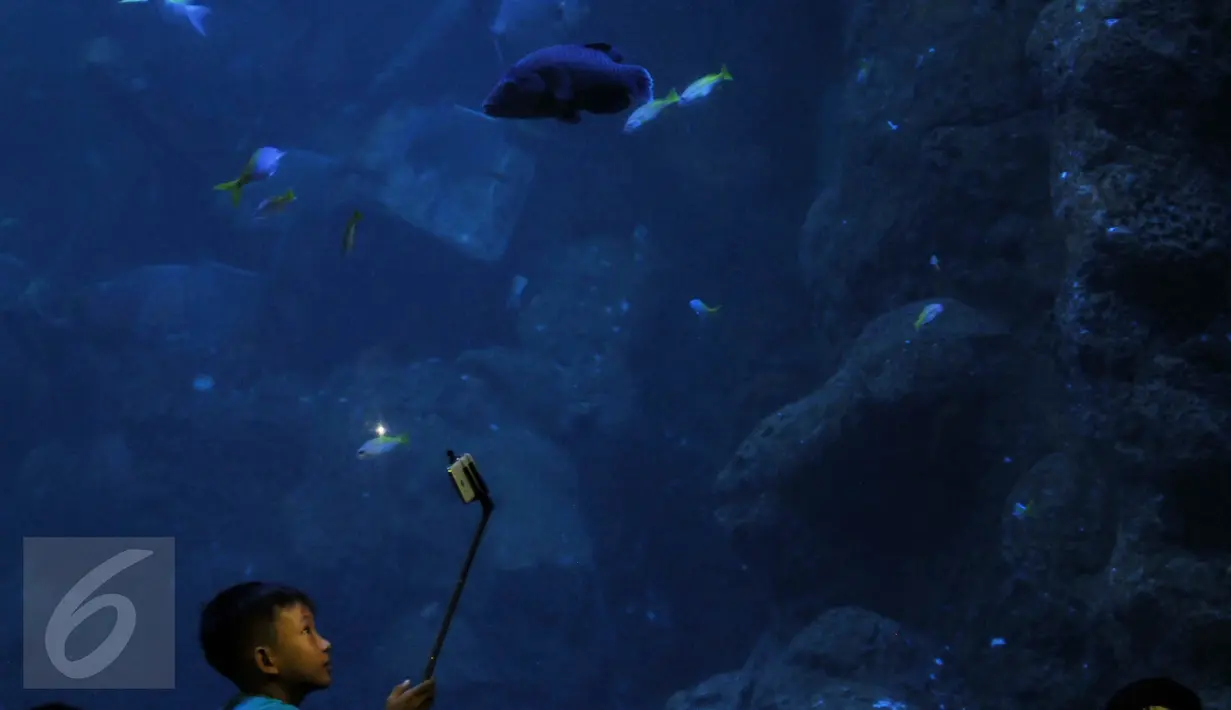 Seorang anak melakukan selfie saat berada di Sea World, Ancol, Jakarta, Kamis (7/7). Wahana Sea World masih menjadi tempat favorit warga untuk mengisi waktu berlibur hari ke-2 Lebaran. (Liputan6.com/Johan Tallo)