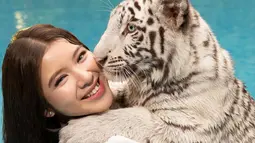 Meski harimau putih tersebut merupakan milik sang kekasih, akan tetapi Tiara Andini terlihat begitu santai saat harus menggendongnya. Bahkan, ia tak lupa untuk memberikan senyum manis ke kamera. (Liputan6.com/IG/@tiaraandini)
