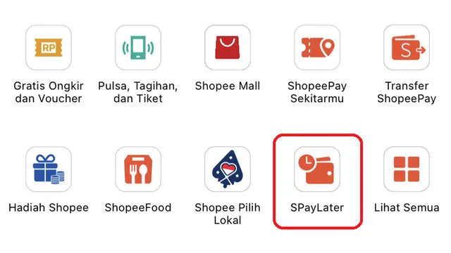 SPayLater