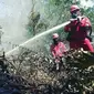 Proses pemadaman kebakaran lahan oleh petugas agar tidak terjadi bencana kabut asap. (Liputan6.com/M Syukur)