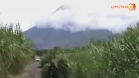 Gunung Merapi Lontarkan Pasir, Warga Panik