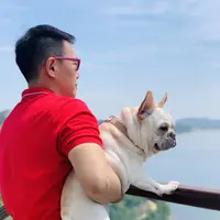 Intip serunya liburan bersama hewan peliharaan di Alila Anji (Foto: Alila Anji)