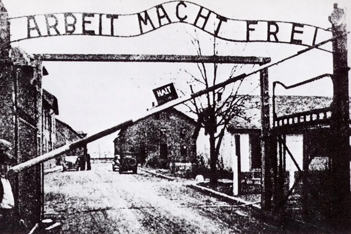 Nazi