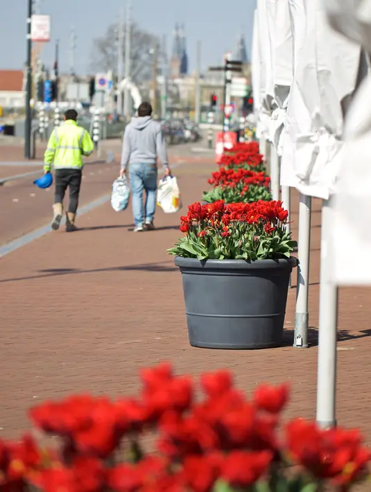 Sejumlah pot bunga tulip terlihat di depan Hotel Double Tree Hilton di Amsterdam, Belanda (8/4/2020). Festival Tulip Amsterdam 2020 menampilkan tulip di jalan-jalan sepanjang bulan April. Akibat epidemi COVID-19, beberapa lokasi pameran tulip ditutup tahun ini. (Xinhua/Sylvia Lederer)