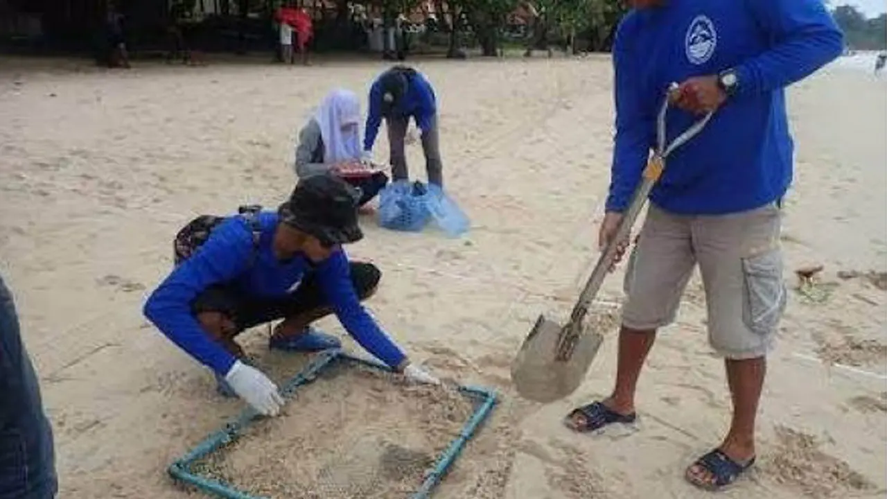 Petugas menemukan puntung rokok di sejumlah pantai di Thailand. (Asia News Network)