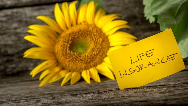 7 Alasan Yang Bikin Orang Ogah Punya Asuransi Jiwa Bisnis Liputan6 Com