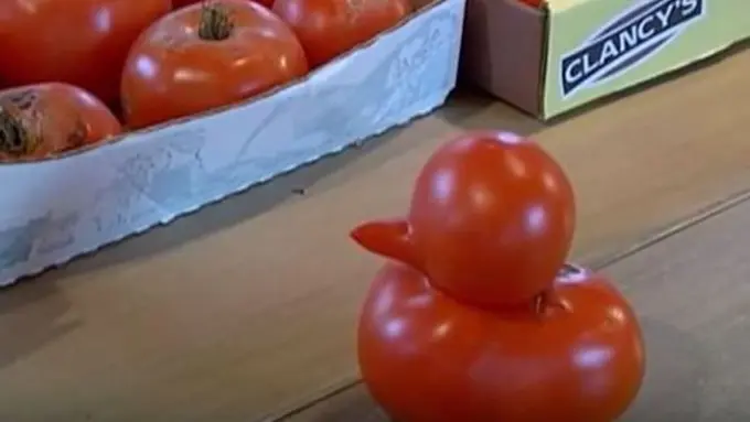 Foto: copyright metro.co.uk/WNEM