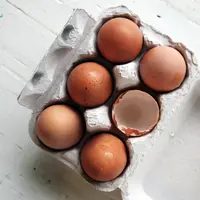 ilustrasi telur/Photo by Caroline Attwood on Unsplash