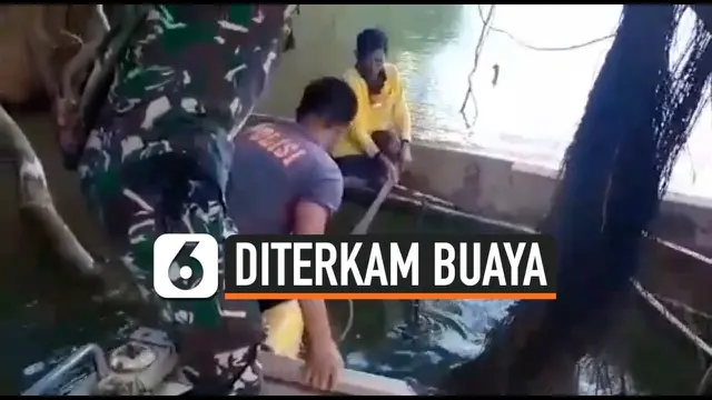 VIDEO: Mau Mandi, Wanita di Sulawesi Tewas Diterkam Buaya