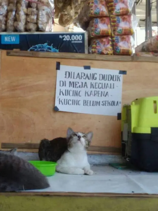 Ngaco, 7 Larangan Absurd ini Bikin Kita Ketawa Ngakak