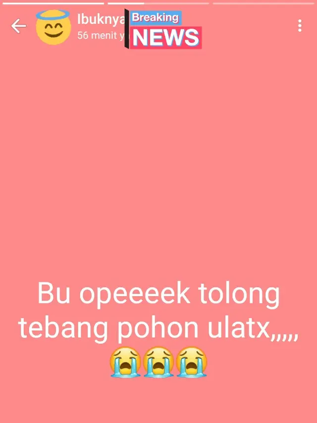 7 Status WhatsApp Kocak Emak-Emak Ini Bikin Tepuk Jidat