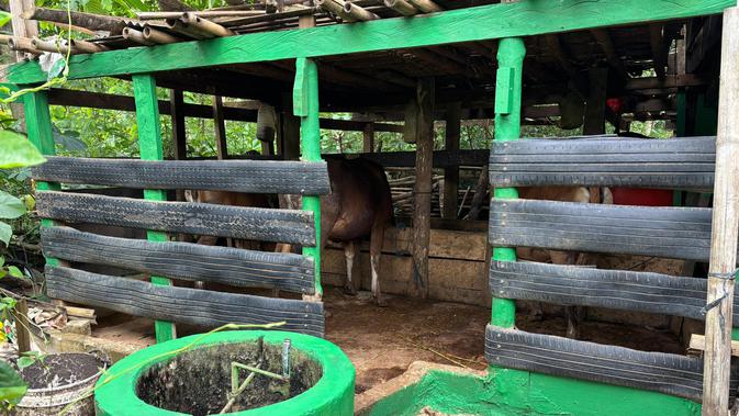 Revolusi Hijau Warga Simbang Berawal dari Kandang Sapi