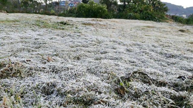 Embun es Dieng berpeluang tinggi muncul pada Juli-Agustus 2018. (Foto: Liputan6.com/Pemdes Dieng/Muhamad Ridlo)