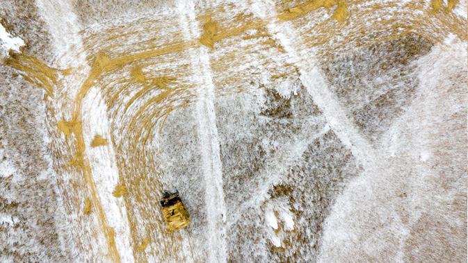 Pemandangan udara menunjukkan pekerja lapangan memotong buluh di The Vistula Spit dekat Desa Jagodno, dekat Elblag, Polandia utara, 19 Februari 2021. Setelah diproses, buluh digunakan untuk atap di Polandia, Denmark, Belanda, dan Jerman. (MATEUSZ SLODKOWSKI/AFP)