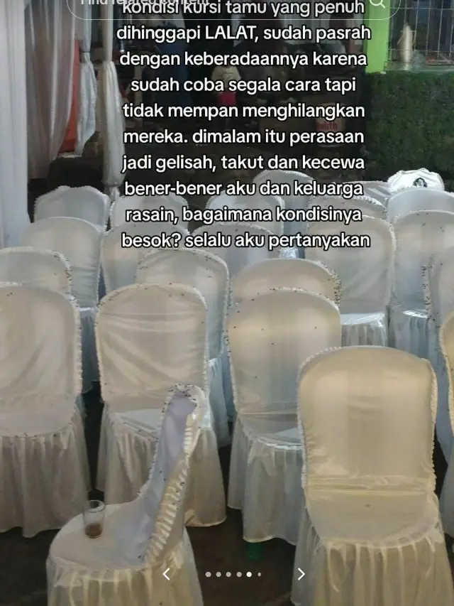 7 Potret Pilu Acara Pernikahan Dipenuhi Ribuan Lalat, Curhatan Pengantin Ini Viral