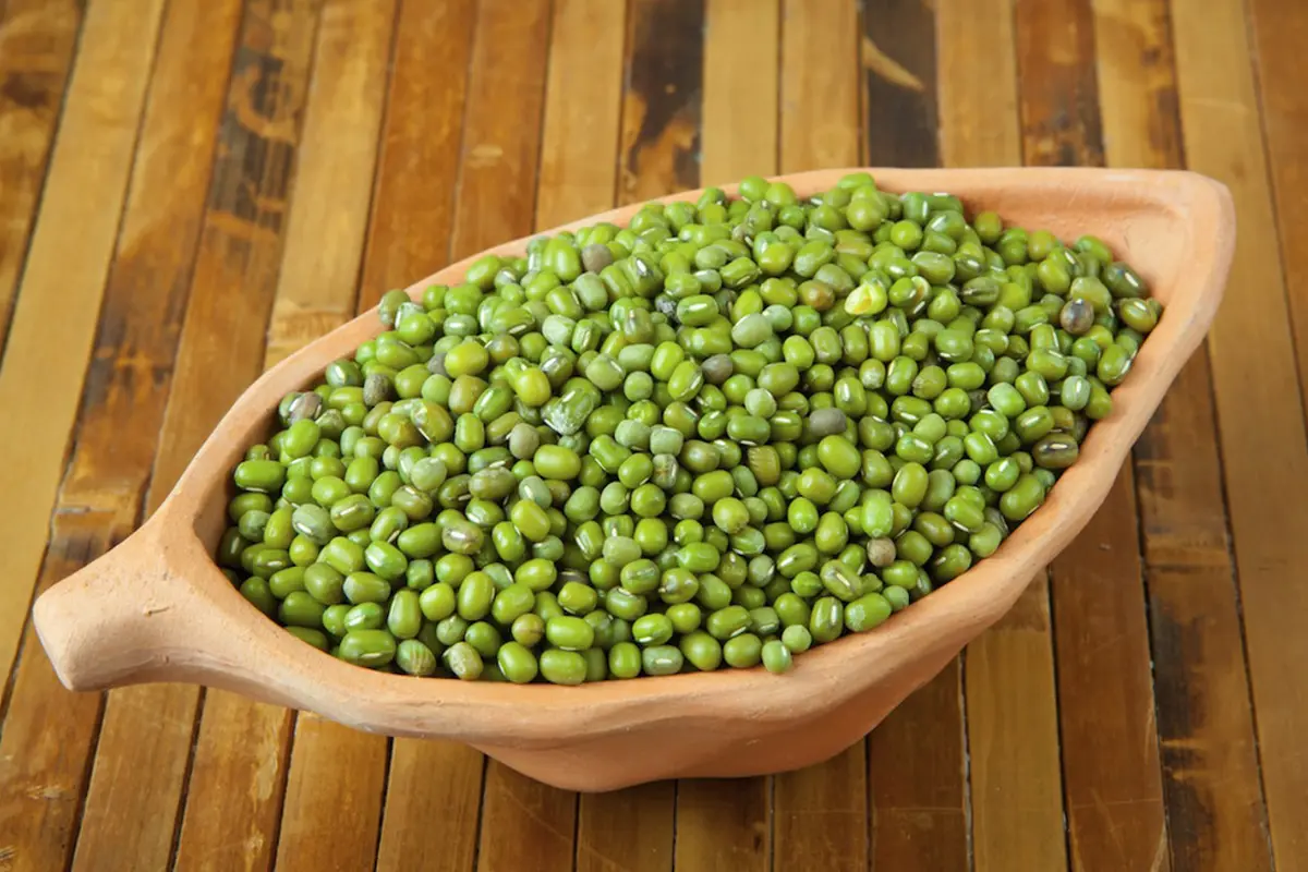 Kacang hijau yang kaya nutrisi