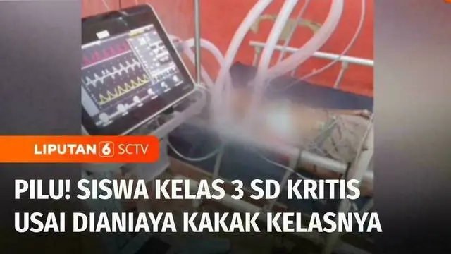 VIDEO: Siswa Kelas 3 SD Kritis Usai Dianiaya Kakak Kelas, Apa Penyebabnya?