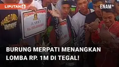 Kemenangan seekor burung merpati Rubicon milik tim Mutiara berhasil jadi juara 1. Kemenangan itu diraih dalam Presiden Cup di Lapangan Padel, Desa Getaskerep, Tegal, Minggu (17/09/2023)