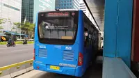 Transjakarta kembali mengoperasikan bus Zhongtong. Bus pabrikan China itu kini berwarna biru kombinasi putih. (Ika Defianti/Liputan6.com)