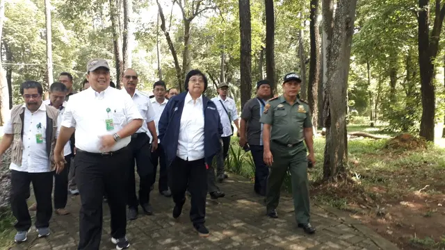 Jokowi Akan Bagikan 50 Ribu Hektar Lahan Hutan Sosial ke Warga Sumsel