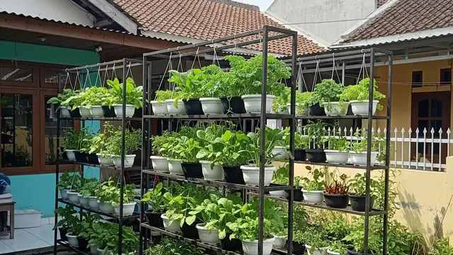 9 Ide Kebun Sayur Gantung di Rumah Kecil, Maksimalkan Lahan Sempit