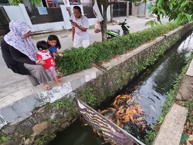 Warga bersama anak-anak melihat ikan yang dibudidaya di sepanjang saluran air di Puri Pamulang, Tangerang Selatan, Minggu (13/8/2020). Saluran air atau selokan sepanjang 400 meter dimanfaatkan warga untuk budidaya ikan dan hiburan gratis bagi warga sekitar. (Liputan6.com/Fery Pradolo)