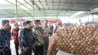 Ekspor kelapa Sumsel sempat ditolak di Thailand karena kondisi kelapa bertumbuh tunas (Dok. Humas Pemprov Sumsel / Nefri Inge)