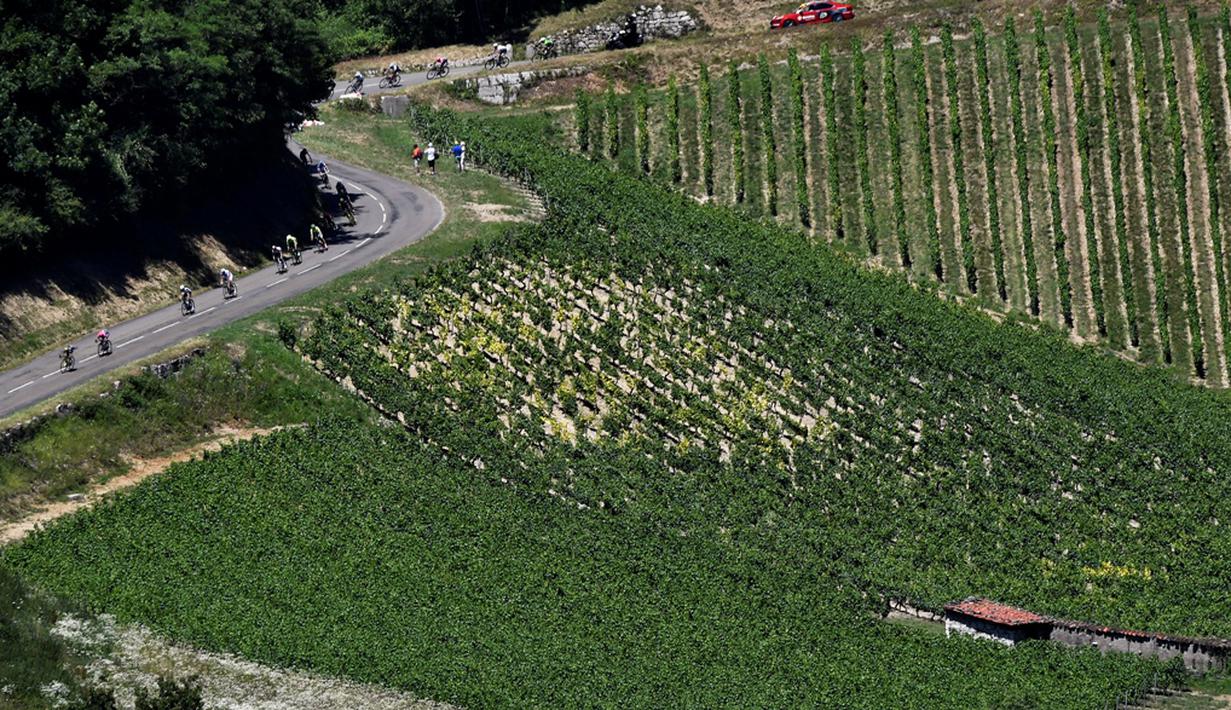 Pebalap beraksi di Etape 15 Tour de France yang berjarak 160 km antara Bourg-en-Bresse dan Culoz, Prancis, (17/7/2016). (AFP/Jeff Pachoud)
