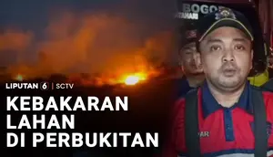 Kebakaran Lahan di Perbukitan