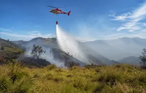 Kebakaran Bromo Tembus 899 Hektare, Tim Pemadam Gempur Titik Api Tersisa