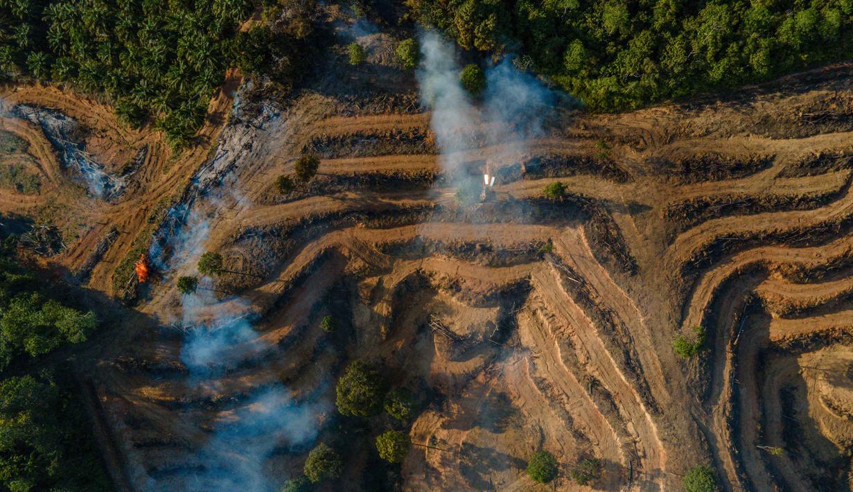Dalam kurun setahun hingga 2024, Negeri Serambi Mekkah telah kehilangan sekitar 16 ribu hektare hutan alam. Tampak dalam foto, asap mengepul selama penggundulan hutan untuk lahan tanam baru perkebunan kelapa sawit di Lamno, Provinsi Aceh, Minggu 18 Januari 2026. (CHAIDEER MAHYUDDIN/AFP)