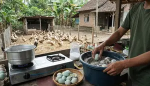 Modal Ternak Bebek Sekaligus Usaha Telur Asin Rumahan, Untung Berlipat