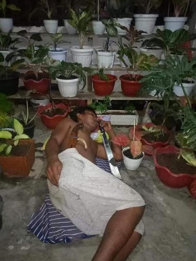 Agar Tanaman Hias Tak Dicuri, Berikut 3 Potret Pria Tidur Bersama Tanaman Miliknya