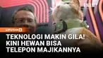 Perkembangan teknologi kecerdasan buatan kini merambah dunia hewan peliharaan. Sebuah perangkat bernama PetPhone memungkinkan anjing atau kucing berkomunikasi langsung dengan pemiliknya melalui panggilan suara dua arah.