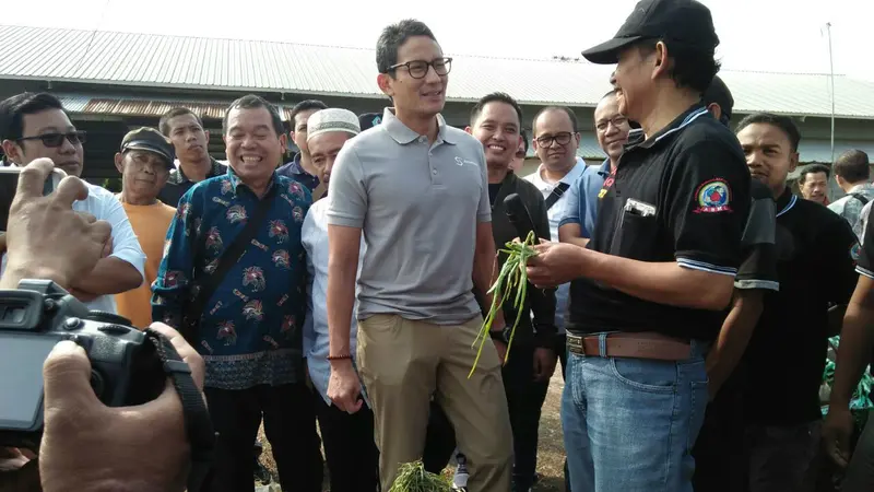 Wakil Gubernur Sandiaga Uno menyambangi ladang bawang merah di Brebes